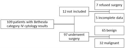 Impact of ultrasound elastography in evaluating Bethesda category IV thyroid nodules with histopathological correlation